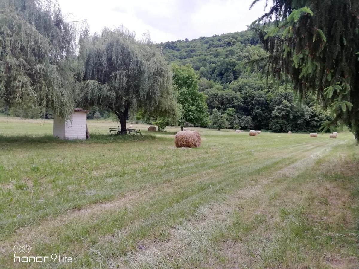 Chalet Tout Confort Proche D Ax 3 Domaines Vebre Exteriör bild